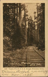 Track of Northwestern Pacific Railroad through Bohemian Grove Monte Rio, CA Postcard Postcard Postcard