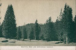 Beautiful Trees Line Northwood Fairways- Northwood Lodge and Golf Course Monte Rio, CA Postcard Postcard Postcard