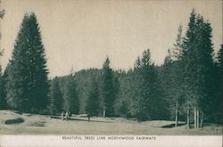Beautiful Trees Line Northwood Fairways Northwood Lodge and Golf Course Postcard