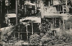 Pioneer Camp Monte Rio, CA Postcard Postcard Postcard