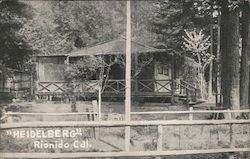 Heidelberg Postcard