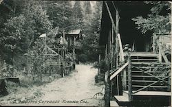 Rustic Cottages Rio Nido, CA Postcard Postcard Postcard