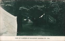 View of Campers at Eaglenest Guerneville, CA Postcard Postcard Postcard