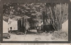 A Tent Scene at Eaglenest Postcard