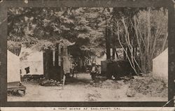 A Tent Scene, Eaglenest Guerneville, CA Postcard Postcard Postcard