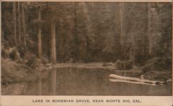 Lake in Bohemian Grove Monte Rio, CA Postcard Postcard Postcard