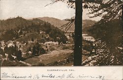 View of Guerneville Postcard