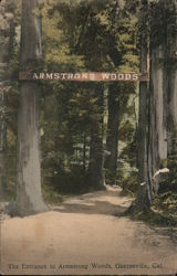 Entrance to Armstrong Woods Guerneville, CA Postcard Postcard Postcard