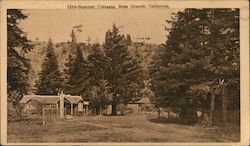 Summer Cottages Postcard