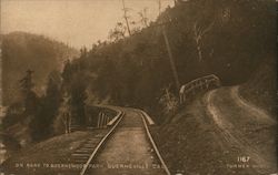 On road to Guernewood Park Guerneville, CA Postcard Postcard Postcard