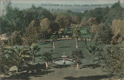 Park Grounds at Buena Vista Castle Postcard