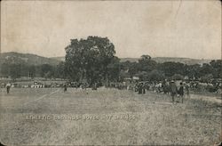 Athletic Grounds Boyes Hot Springs, CA Postcard Postcard Postcard