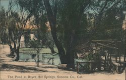 The Pond at Boyes Hot Springs California Postcard Postcard Postcard