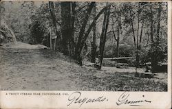 A Trout Stream New Cloverdale, Cal. Postcard