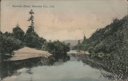 Russian River, Sonoma County Postcard