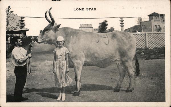 Lone Star, largest know cow San Antonio Texas