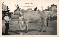 Lone Star, largest know cow Postcard