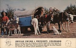 Orville Ewing. Covered wagon trailer pulled by burrows, dogs, goats Pritchett, CO Postcard Postcard Postcard