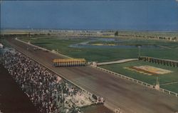 Bay Meadows Race Track Postcard