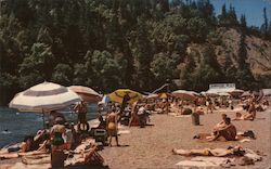 Johnson's Beach on the Russian River Postcard