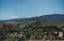 Lake San Marcos Postcard