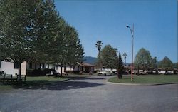 Pacheteau's Original Calistoga Hot Springs Postcard