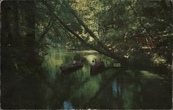 Boating on Zayante Creek Mount Hermon, CA Postcard Postcard Postcard