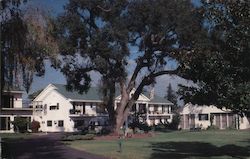 Pilgrim Haven Postcard