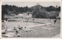 The Surrey Inn, pool and bathers Postcard