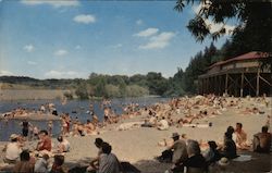 Mirabel Park Beach Postcard