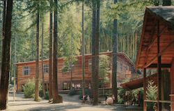 Alliance Redwoods Christian Camp and Conference Center Camp Meeker, CA Postcard Postcard Postcard