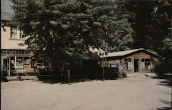 The Square in Villa Grande California Postcard Postcard Postcard