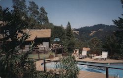 Huckleberry Springs, pool Postcard
