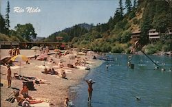 Rio Nido Beach on the Russian River California Postcard Postcard Postcard