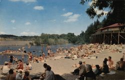 Mirabel Park Beach Russian River, CA Postcard Postcard Postcard