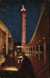 Flamingo Hotel Neon Sign Postcard