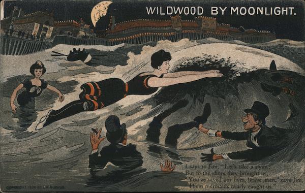 Wildwood by moonlight. Drinking