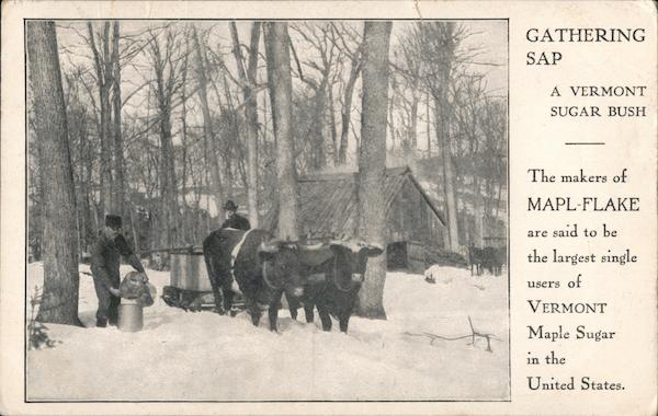 Vermont Maple Sugar. Gathering Sap. Makers of Mapl-Flake.