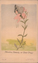 Meadow Beauty or Deer Grass Postcard