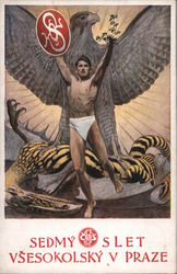 Seventh Meeting of Vsesokolsky in Prague Postcard