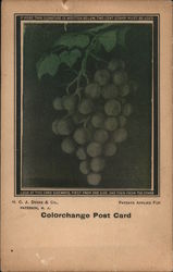 Look at this card sideways, first from one side and then from the other. Colorchange post card. Postcard