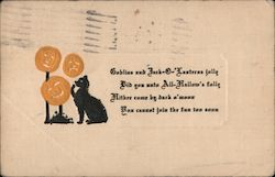 Black cat and Jack-o-lanterns Halloween Postcard Postcard Postcard
