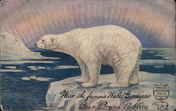 Wear the Famous Wales Goodyear Bear Brand Rubbers. Polar Bear on iceberg. Postcard