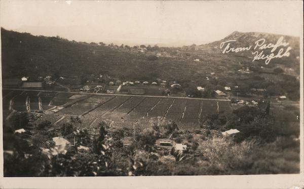 From Pacific Heights, view of valley Honolulu Hawaii