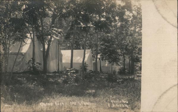 Camp Life Mountain View Missouri E.B. Gray