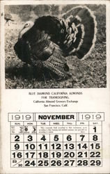 Blue Diamond California Almonds for Thanksgiving Postcard