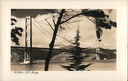 Stock #828668 Thumbnail