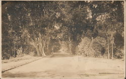 Tree-lined road / Masonic temple correspondence card Postcard