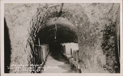 Beringer Bros - "Los Hermanos" Wine Vaults Postcard