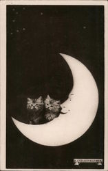Kittens on paper Moon Postcard